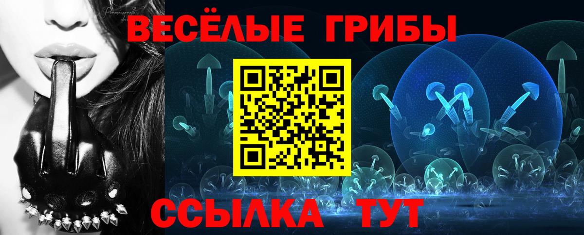 Тихорецк  Галлюциногенные грибы GOLDEN TEACHER  Вход с VPN 