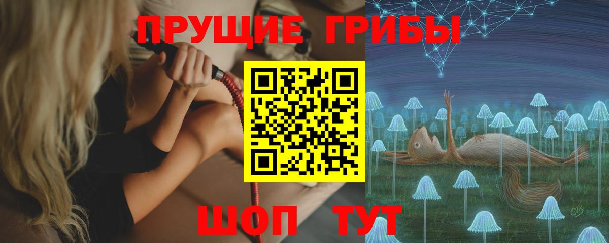 Галлюциногенные грибы Psilocybe Тихорецк